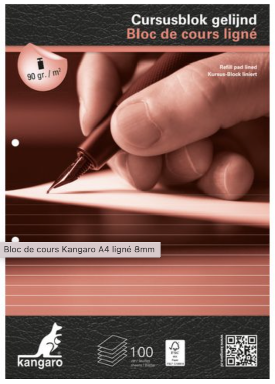 Bloc de cours A4, lignes, 100 pages, 90gr
