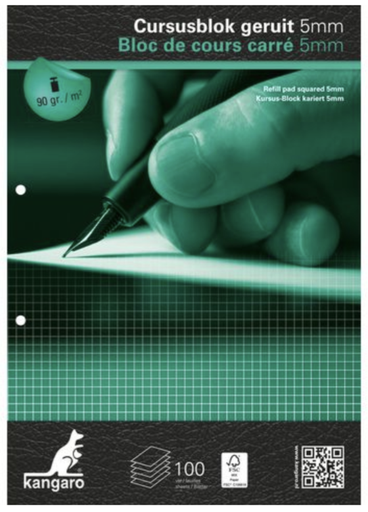 [023-NOTEPAPSQ] Bloc de cours A4, carrés de 5mm, 100 pages, 90gr